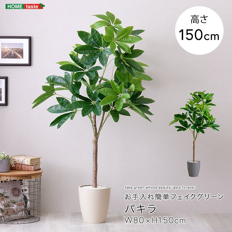 アーバン通商 お手入れ簡単フェイクグリーン パキラ Mサイズ(150cm) 観葉植物 ジョイント式 鉢付 SH-06-PAC-M--IV【別送品】