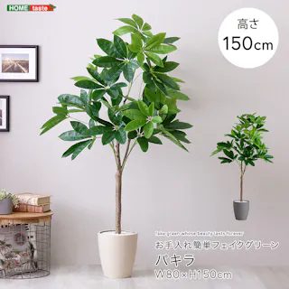 アーバン通商 お手入れ簡単フェイクグリーン パキラ Mサイズ(150cm) 観葉植物 ジョイント式 鉢付 SH-06-PAC-M--IV【別送品】