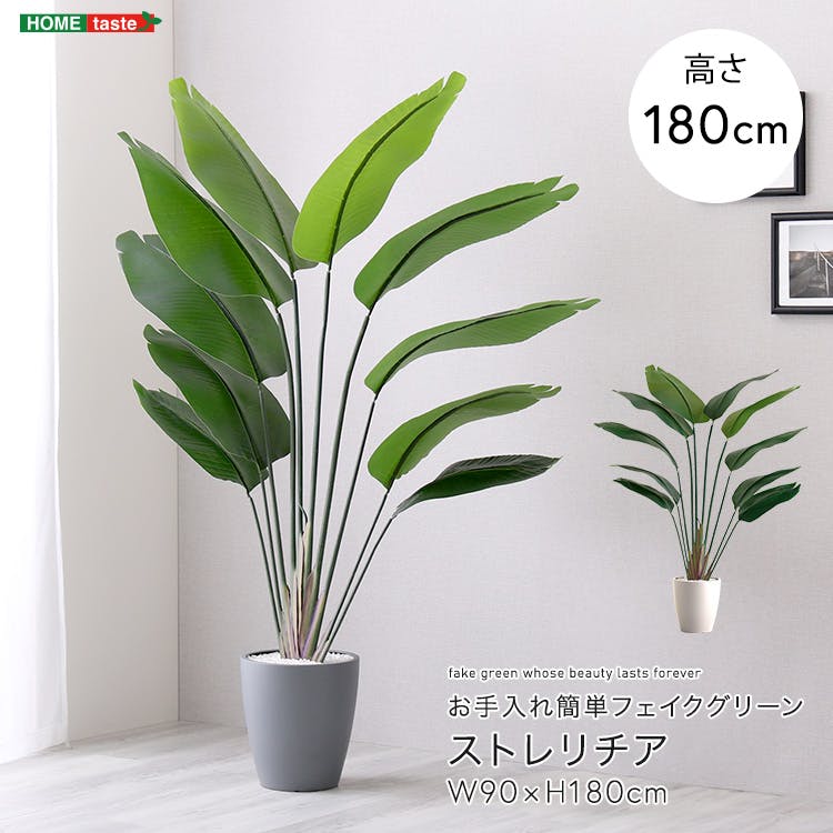 アーバン通商 お手入れ簡単フェイクグリーン ストレリチア Lサイズ(180cm) 観葉植物 ジョイント式 鉢付 SH-06-STR-L--GY【別送品】