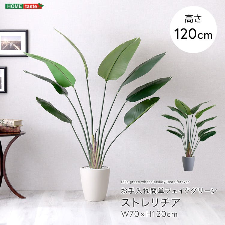 アーバン通商 お手入れ簡単フェイクグリーン ストレリチア Sサイズ(120cm) 観葉植物 ジョイント式 鉢付 SH-06-STR-S--IV【別送品】
