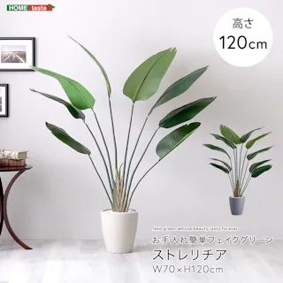 アーバン通商 お手入れ簡単フェイクグリーン ストレリチア Sサイズ(120cm) 観葉植物 ジョイント式 鉢付 SH-06-STR-S--IV【別送品】
