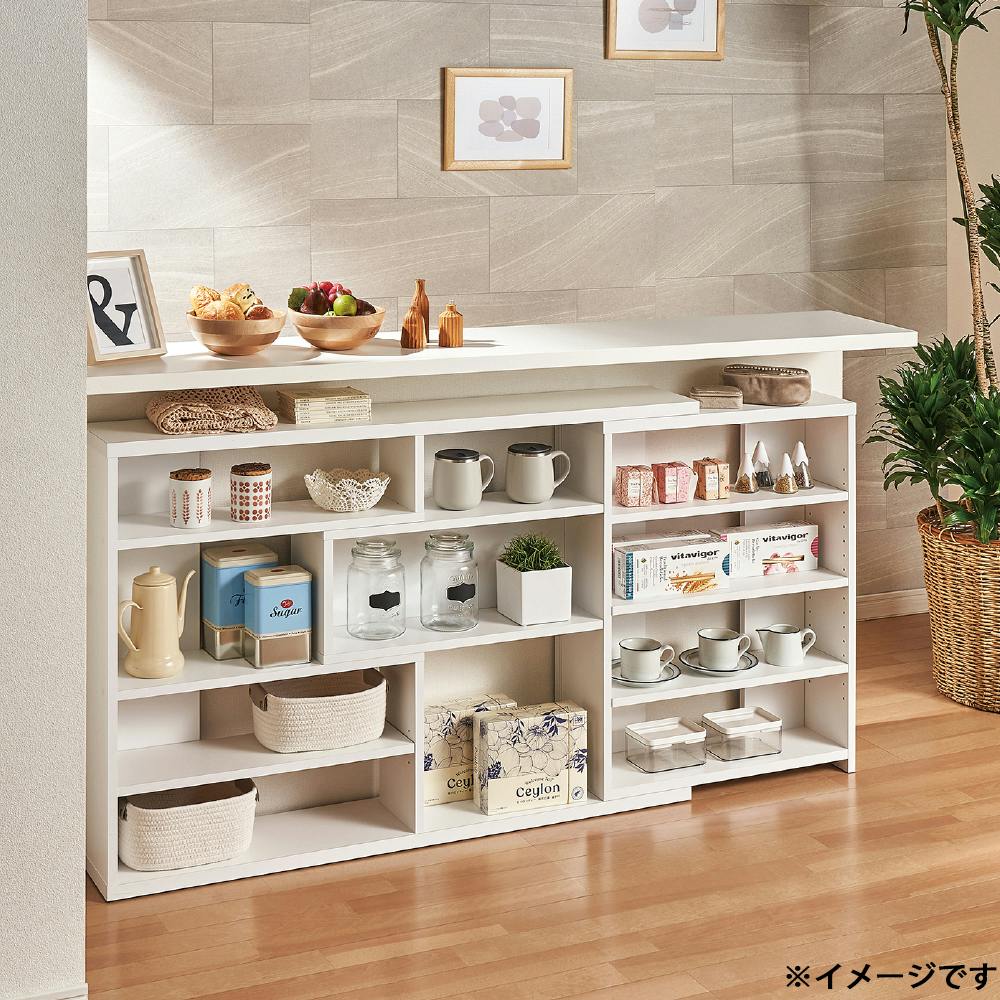 ategisシェルフ ategisシェルフ ategisシェルフ Explorer Shelf – Nestig