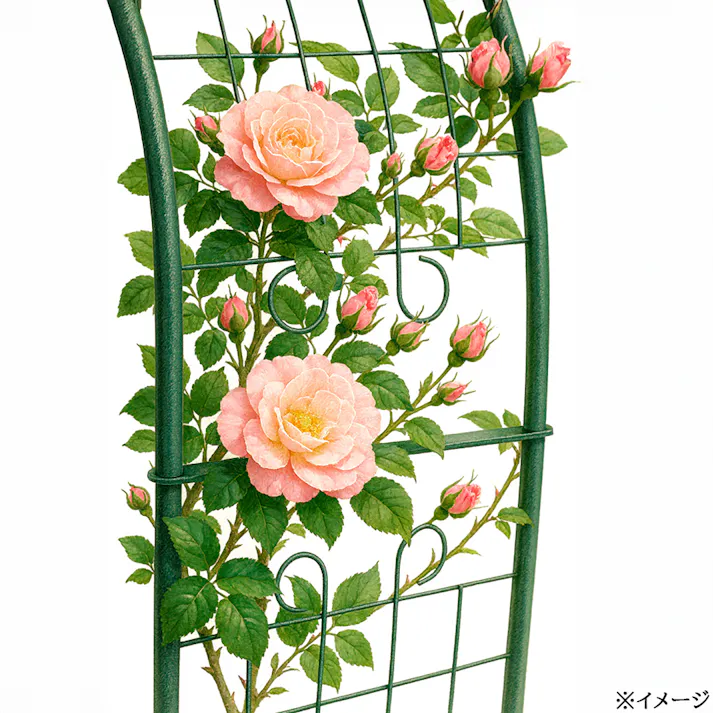 フラワーアーチ エクセレント 173.5×48.5×202.6cm ガーデニング アーチ フラワーアーチ 4350019【別送品】