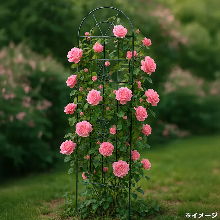 2W〈ツーダブル〉 ワイヤーフェンス(1台入) 50.5×2×185cm ガーデニング ワイヤーフェンス 支柱 4350053【別送品】