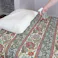 家庭用霧吹き(振り子ホース) 300ml グリーン 9.5×7.5×17cm スプレーボトル 葉水 消毒 3050335【別送品】
