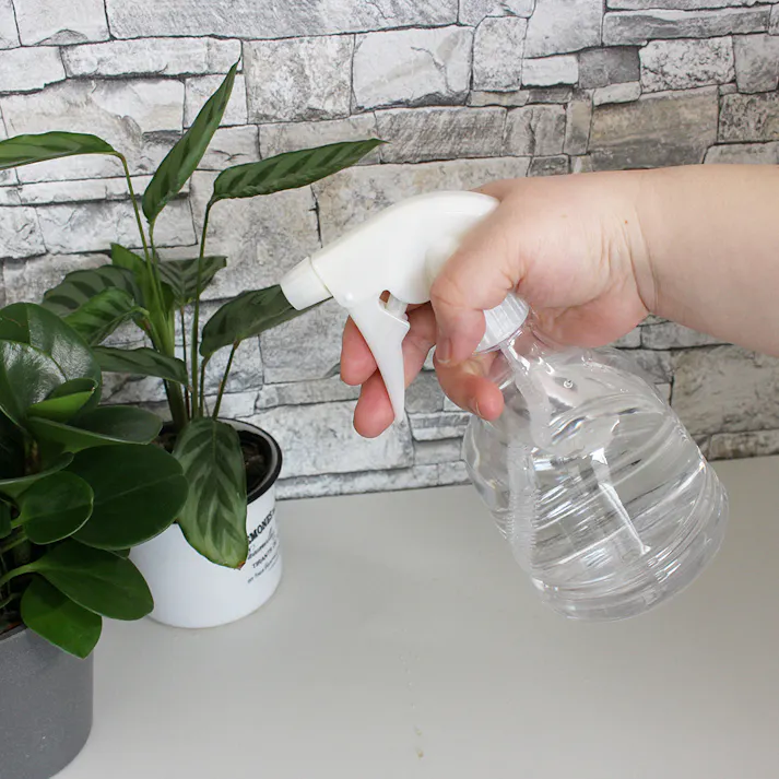 家庭用霧吹き(振り子ホース) 500ml グリーン 10.5×9.5×20cm スプレーボトル 葉水 消毒 3050340【別送品】