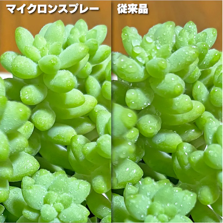 マイクロンスプレー 200ml ガーデンケア ワインレッド 8.5×6×20.5cm 霧吹き 葉水 消毒 3050324【別送品】