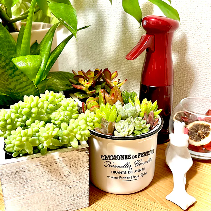 マイクロンスプレー 200ml ガーデンケア ワインレッド 8.5×6×20.5cm 霧吹き 葉水 消毒 3050324【別送品】