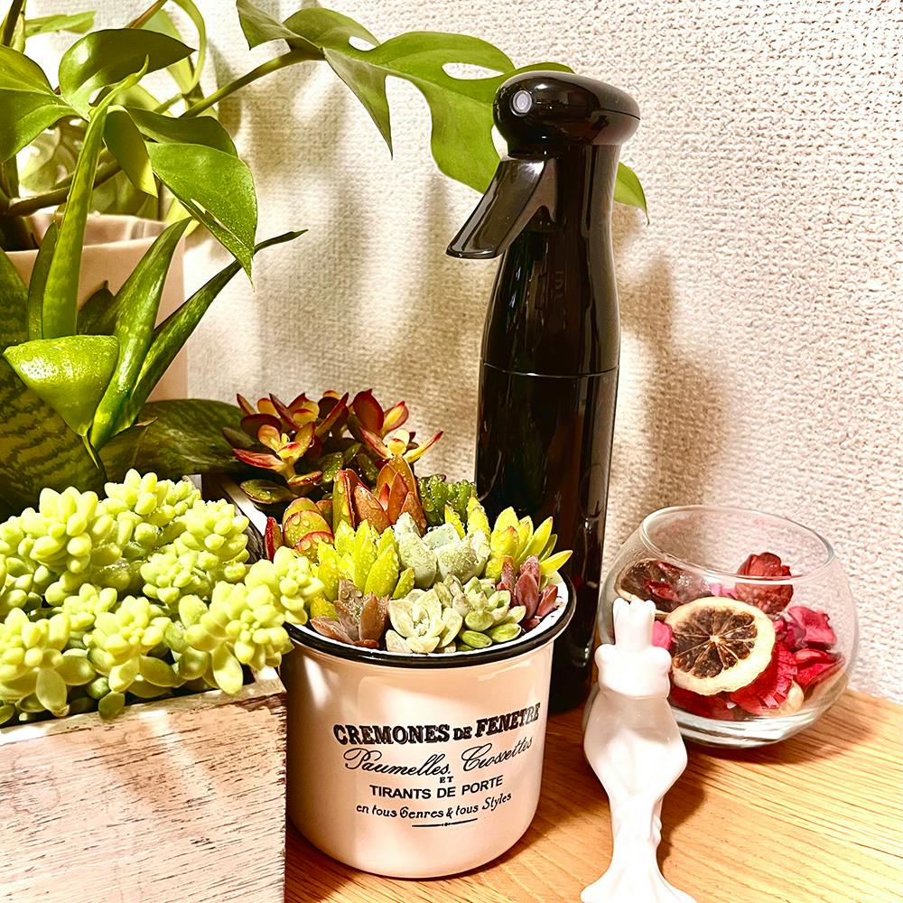 マイクロンスプレー 250ml ガーデンケア ブラック 8.5×5.5×25cm 霧吹き