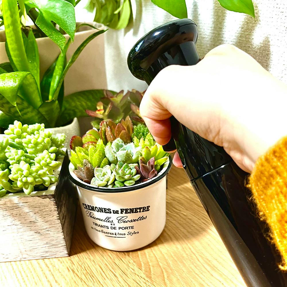 マイクロンスプレー 250ml ガーデンケア ブラック 8.5×5.5×25cm 霧吹き