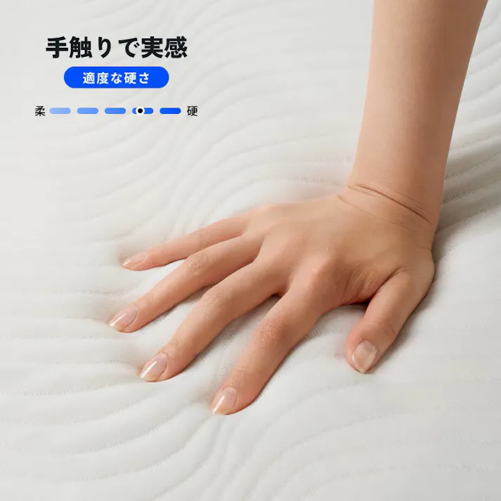 電動リクライニングベッド シングル 収納付き 電動ベッド ブラック 幅97×奥行221×高さ109cm 組立簡単 ※マットレス付 収納 おしゃれ スペース活用 FLEXISPOT B1-MT03【別送品】