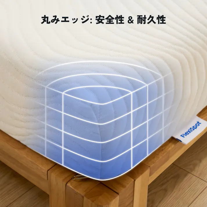 電動リクライニングベッド セミダブル 電動ベッド ブラック 幅120×奥行195×高さ36.5cm 組立簡単 ※マットレス付 静か いびき対策 ほどよい硬さ FLEXISPOT S1-120-Wd-MTT011【別送品】
