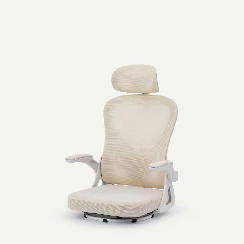 flexispot チェア」の人気商品一覧・価格比較 - 価格.com