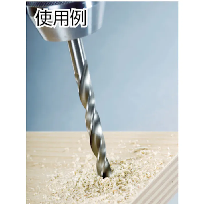 【CAINZ-DASH】ALPEN社 ハイス木工ドリル 6.0×93mm ストレートシャンク 62000600【別送品】