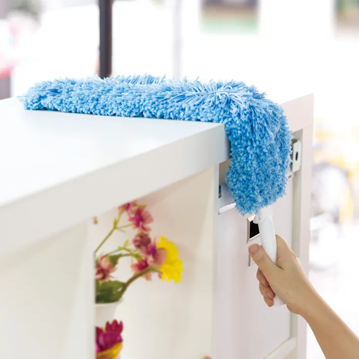 テラモト フリーフィットハンディ FXシリーズ ホコリ取り CL-737-000-0 4904771102009【別送品】