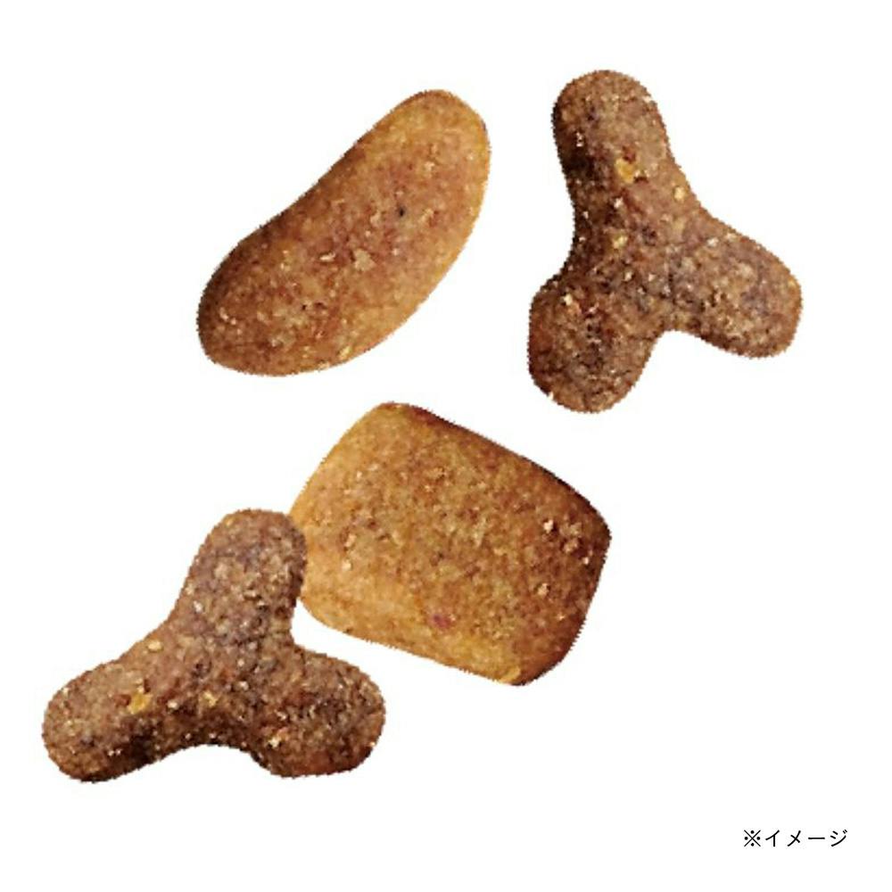 ピュリナ ワン 美味を求める成猫用 1歳以上 サーモン＆ツナ 大