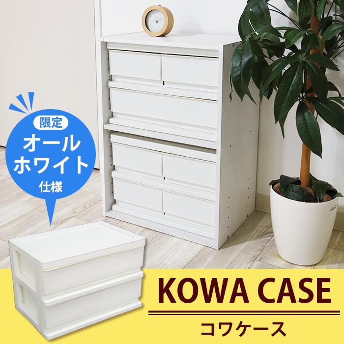 【タイムセール】アメガワンド Amega Wand ケース付き タイムセール】アメガワンド Amega Wand ケース付き
