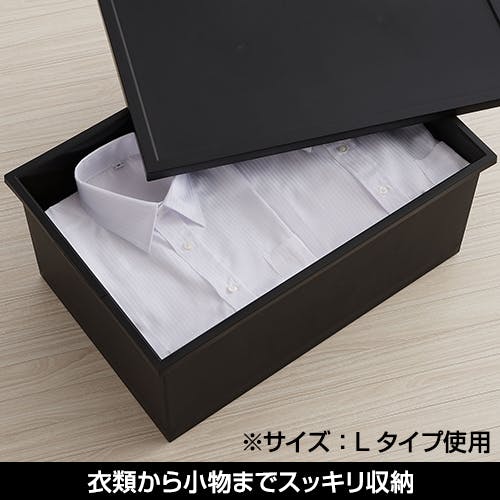 JEJアステージ NBK ファボーレヌーヴォBOX L ブラック 4991068158276