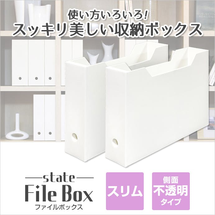 JEJアステージ  限定カラー ファイルボックススリム ホワイト 4991068159778【別送品】