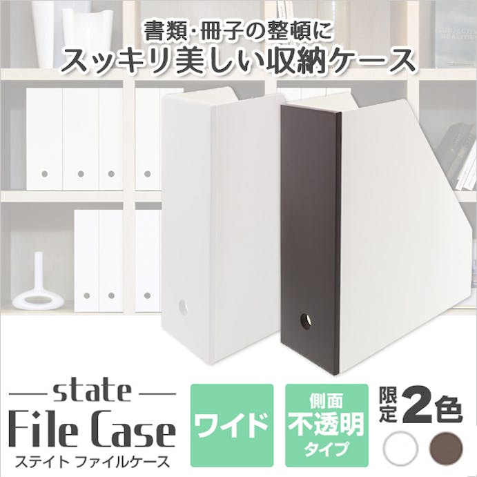 JEJアステージ  限定カラー ファイルケースワイド ホワイト 4991068159785【別送品】