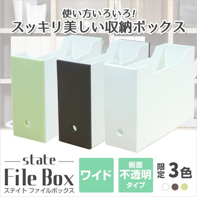 JEJアステージ  限定カラー ファイルボックスワイド ホワイト 4991068159853【別送品】