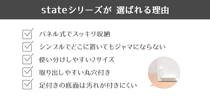 JEJアステージ  限定カラー ファイルボックスワイド ホワイト 4991068159853【別送品】