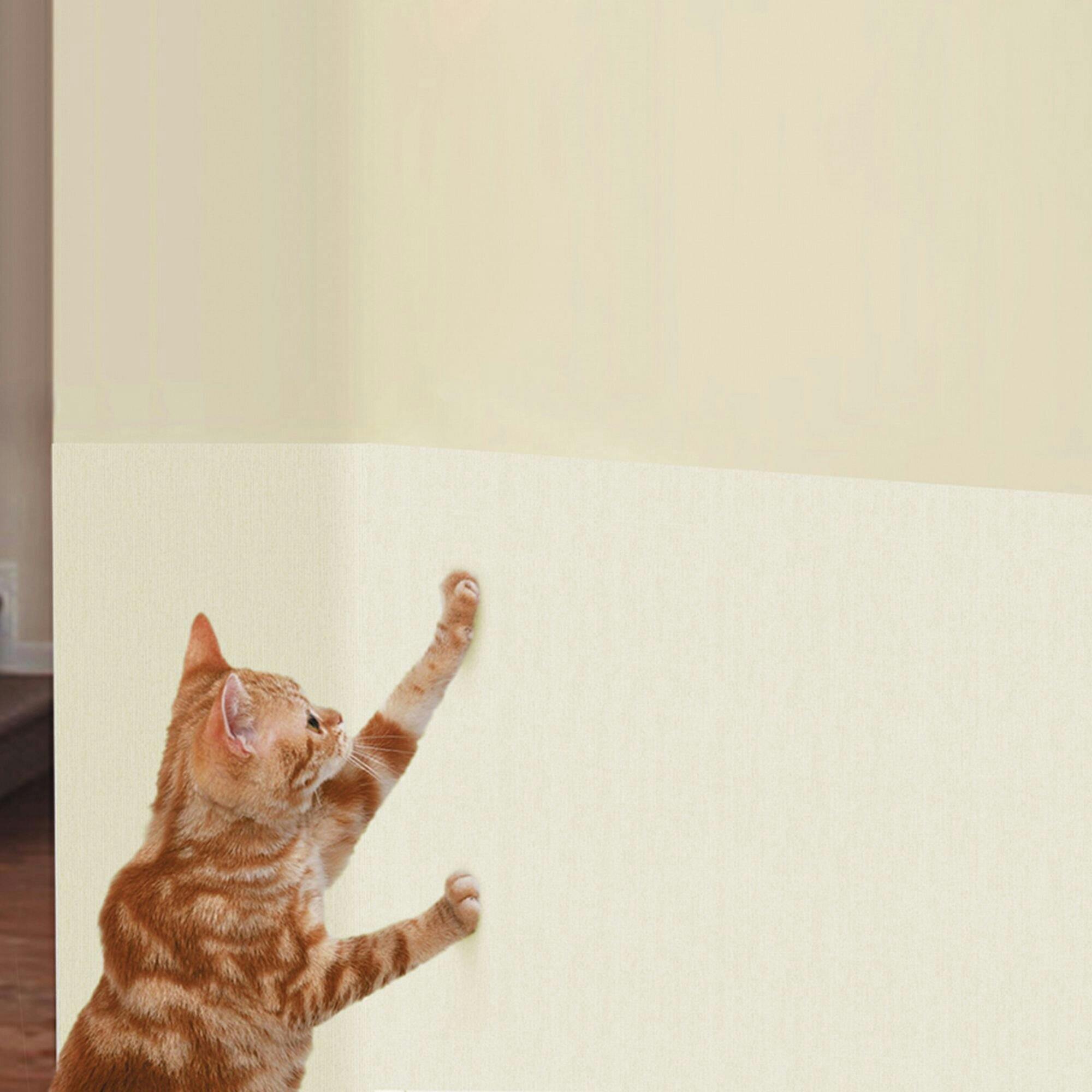 明和グラビア(株) 壁紙ツメ傷保護シート 46×90cm ベージュ IN-4602C