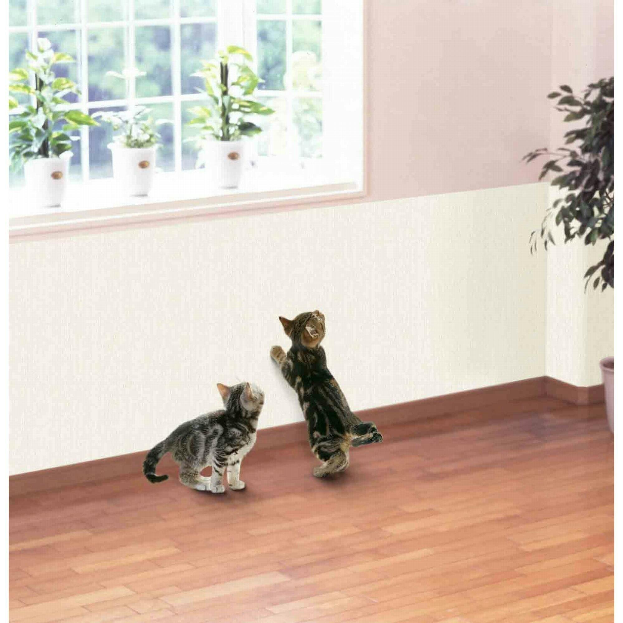 明和グラビア(株) 壁紙ツメ傷保護シート 46×90cm ベージュ IN-4602C