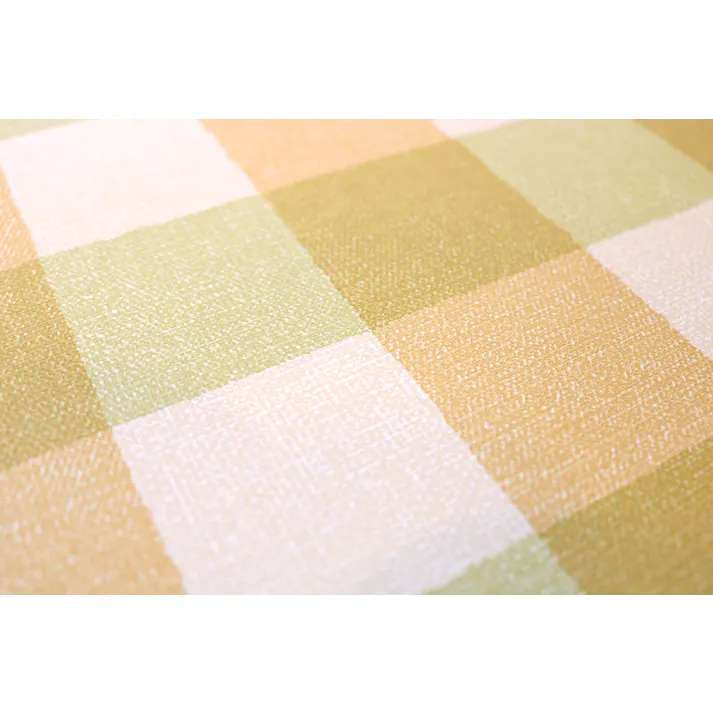 明和グラビア(株) 抗ウイルス ランチョンマット 29×44cm ライトグリーン VPM-チェック 4977932260030【別送品】