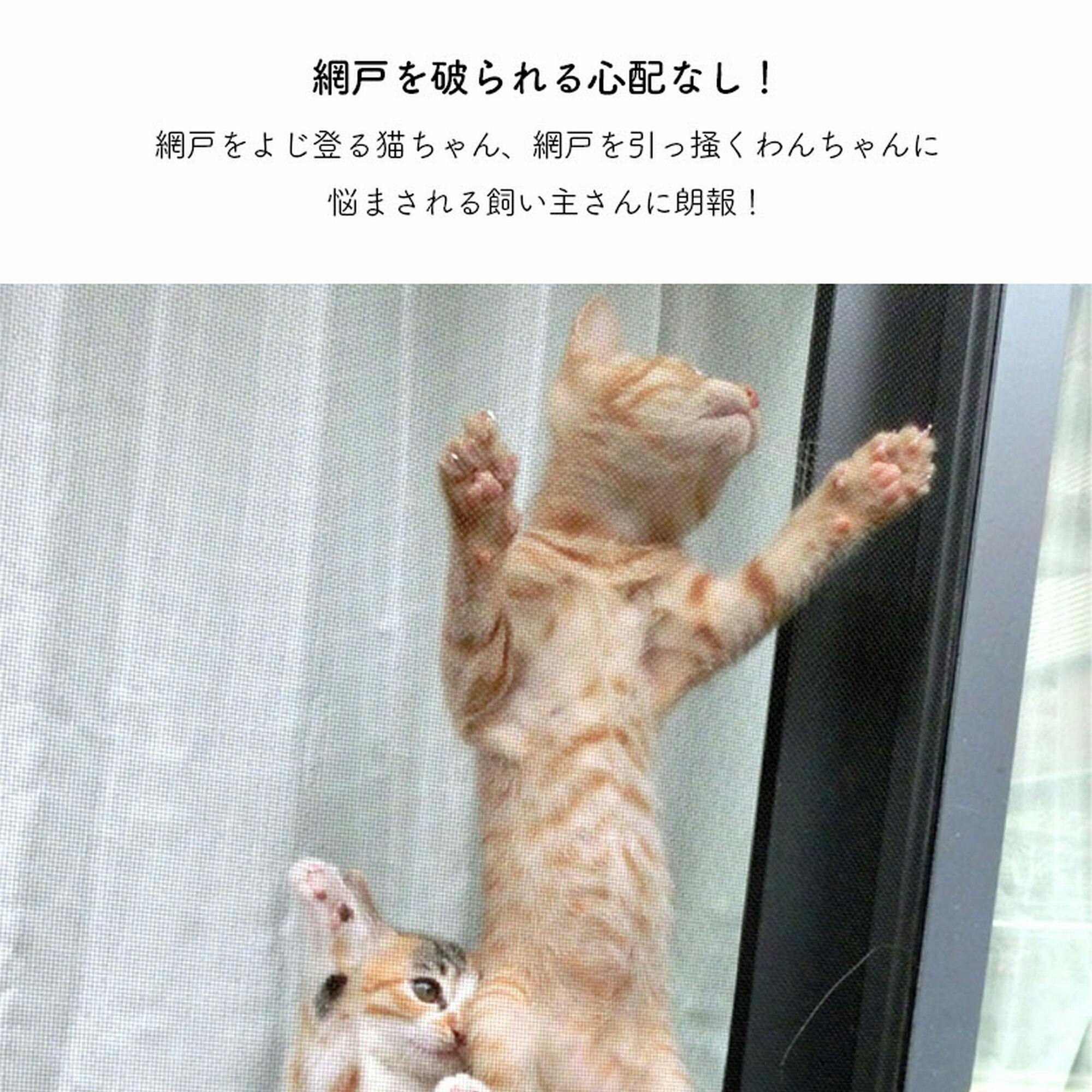 明和グラビア(株) ペット網戸保護メッシュシート 92×180cm