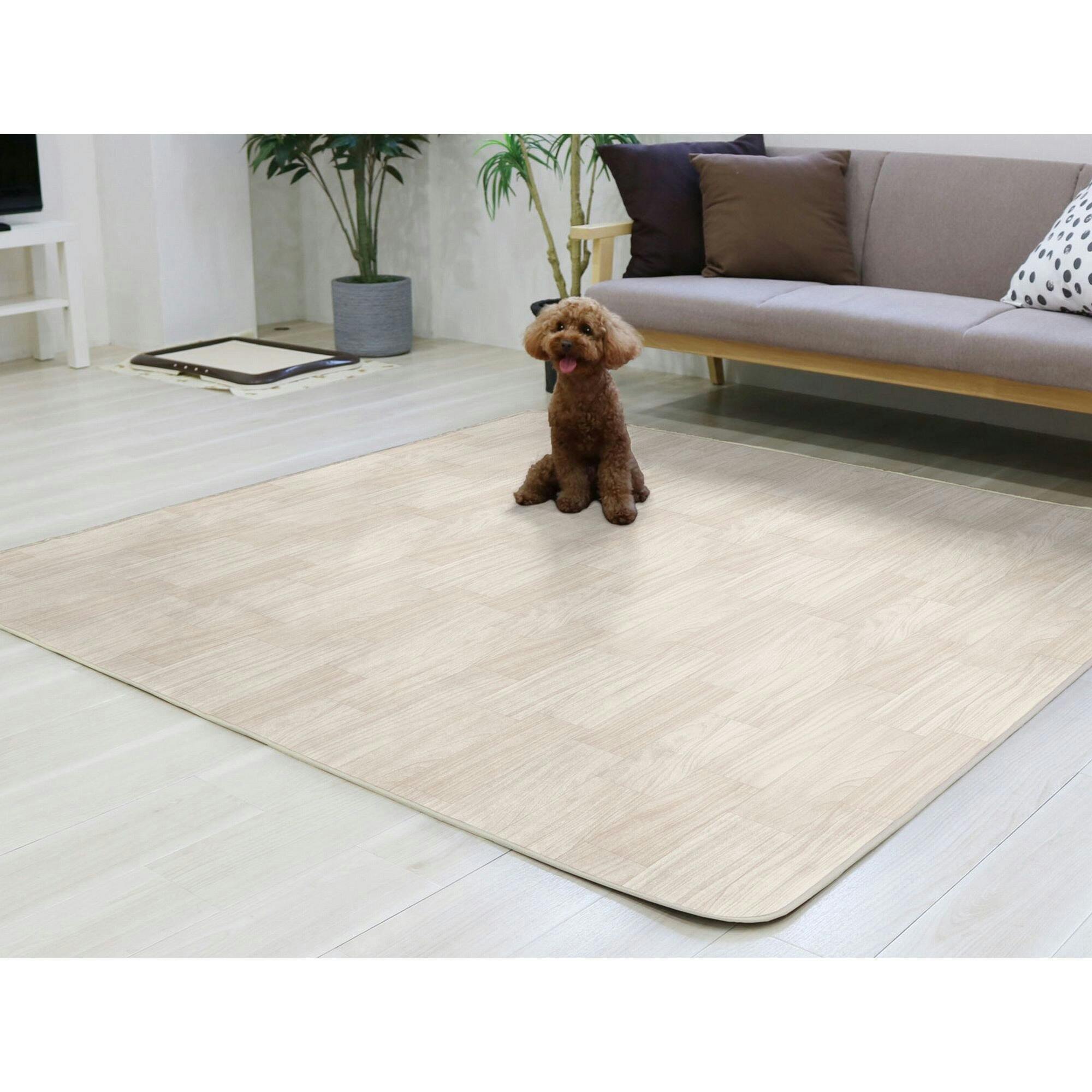 ROBENS カイオワ専用　カーペット（現行品） 9337830000239_01.jpg