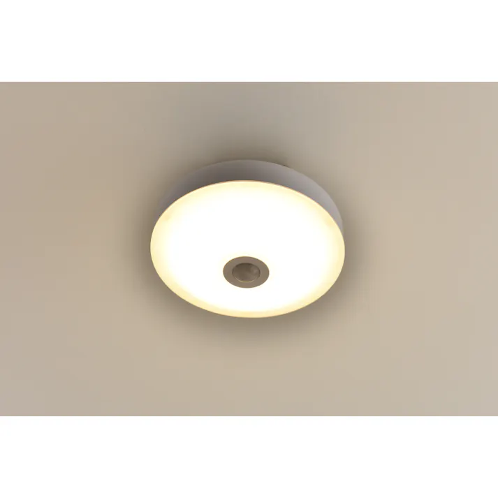 YAMAZEN LEDミニシーリングライト (人感センサー付) 白熱電球 40W相当 MLC-S045L 53851 4983771984563【別送品】