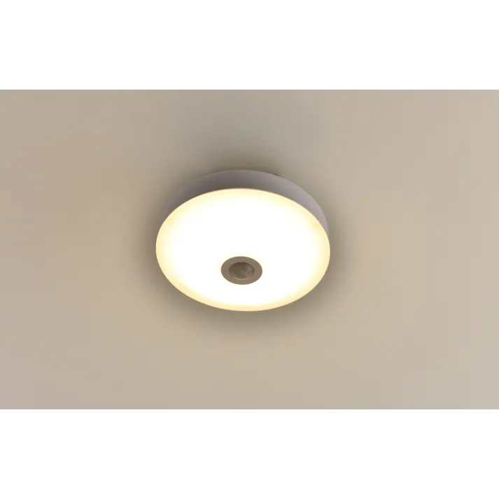 YAMAZEN ミニシーリングライト MLC-S075L 53853 4983771984631【別送品】