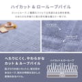 萩原 HAGIHARA 抗菌・防臭加工の平織カーペット　シオン　江戸間4．5畳261×261ブルー 600098345【別送品】