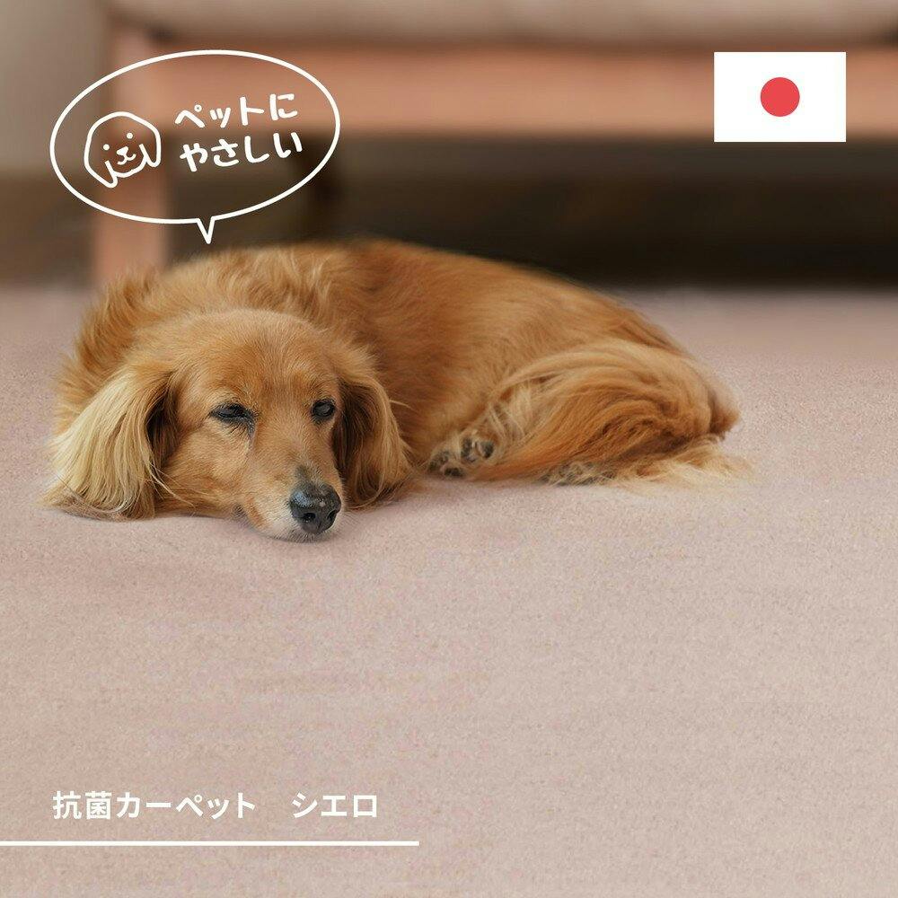 萩原 HAGIHARA 柔らかパイルの抗菌カーペット シエロ 江戸間10畳352