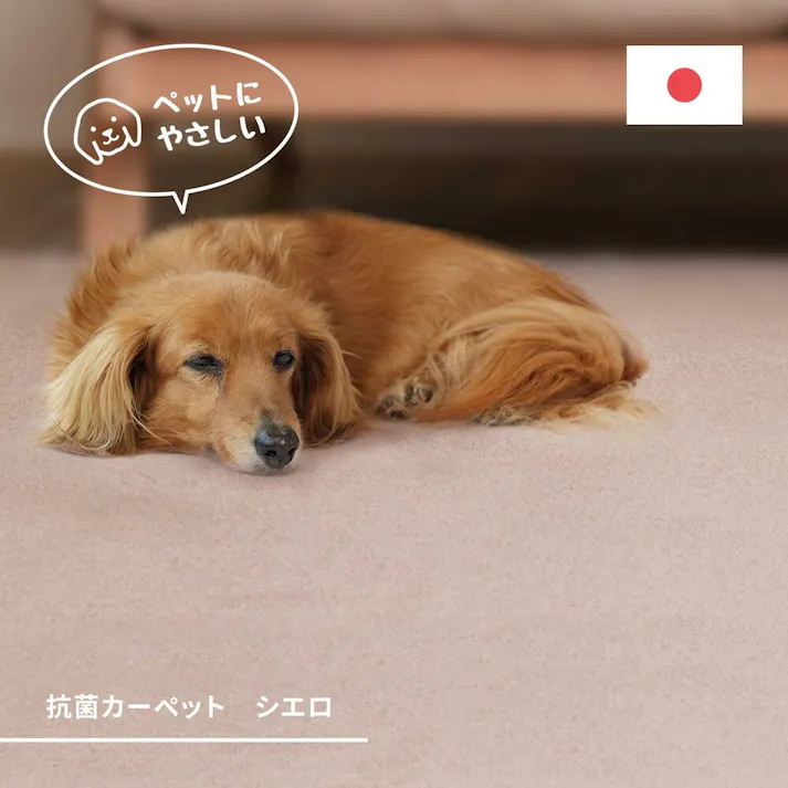 萩原 HAGIHARA 柔らかパイルの抗菌カーペット シエロ 江戸間10畳352×440ブラウン 600094590【別送品】