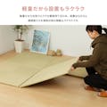 萩原 HAGIHARA 水拭きできる　い草風置き畳　市松模様82×82×2．5グリーン 159055500【別送品】