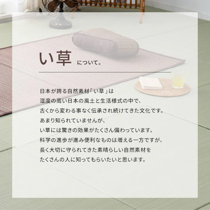 萩原 HAGIHARA い草ラグ 南風191×191ブラウン 81847300【別送品】