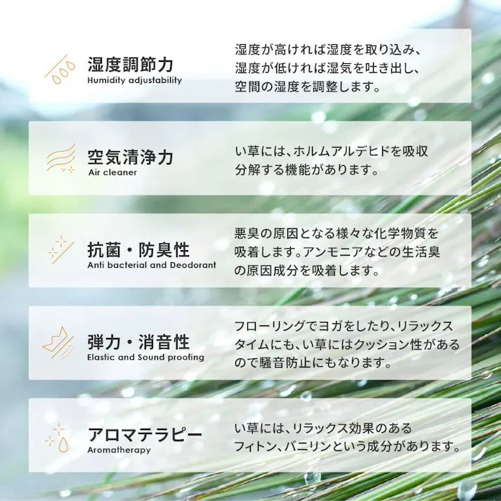 萩原 HAGIHARA い草ラグ 南風191×191ブラウン 81847300【別送品】