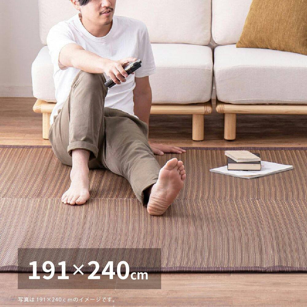 萩原 HAGIHARA い草ラグ 南風191×240ブラウン 81847301【別送品】
