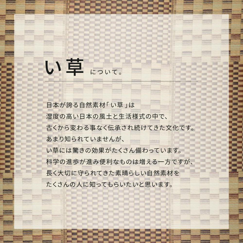 萩原 HAGIHARA 収納簡単 い草ふっくらラグ キハチ180×240ブルー