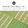 萩原 HAGIHARA 収納簡単 い草ふっくらラグ クレパス180×180グリーン 81909121【別送品】