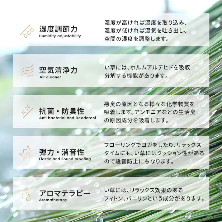 萩原 HAGIHARA 収納簡単 い草ふっくらラグ クレパス180×180グリーン 81909121【別送品】