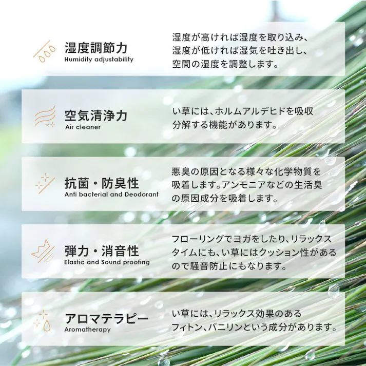 萩原 HAGIHARA 収納簡単 い草ふっくらラグ クレパス180×240グリーン 81909122【別送品】