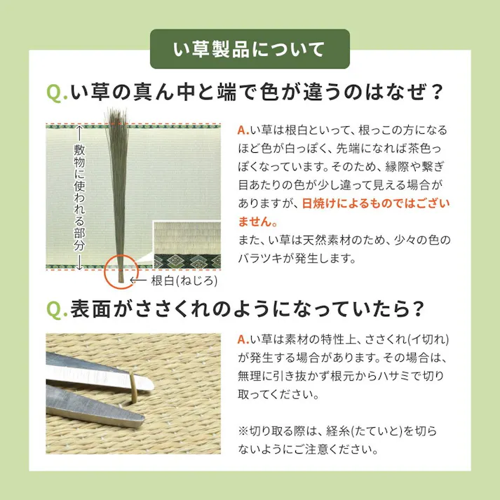 萩原 HAGIHARA 収納簡単 い草ふっくらラグ クレパス180×240グリーン 81909122【別送品】