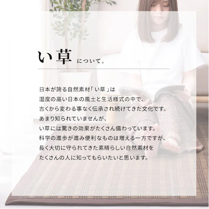 萩原 HAGIHARA 収納簡単 い草ふっくらラグ 仙名180×180ブルー 81848400【別送品】