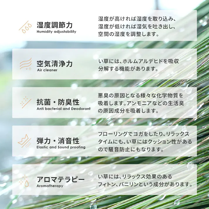 萩原 HAGIHARA 収納簡単 い草ふっくらラグ 仙名180×240ブルー 81848401【別送品】