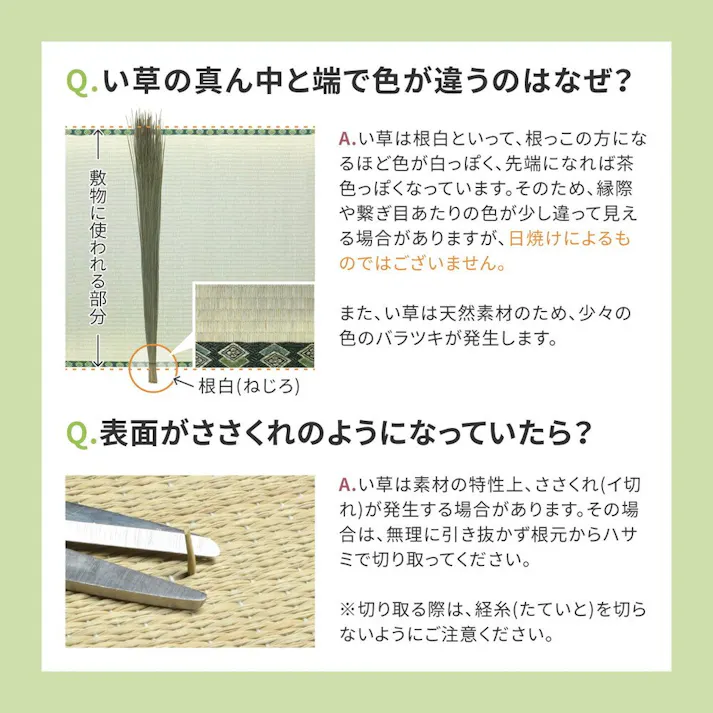 HAGIHARA い草カーペット 谷川(たにがわ) 江戸間12.5畳440×440 158002191【別送品】