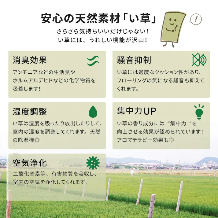 HAGIHARA い草カーペット 谷川(たにがわ) 36間4.5畳273×273 158002245【別送品】
