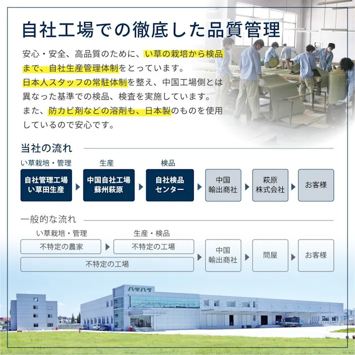 萩原 HAGIHARA い草カーペット 谷川(たにがわ) 36間10畳364×455- 158002292【別送品】